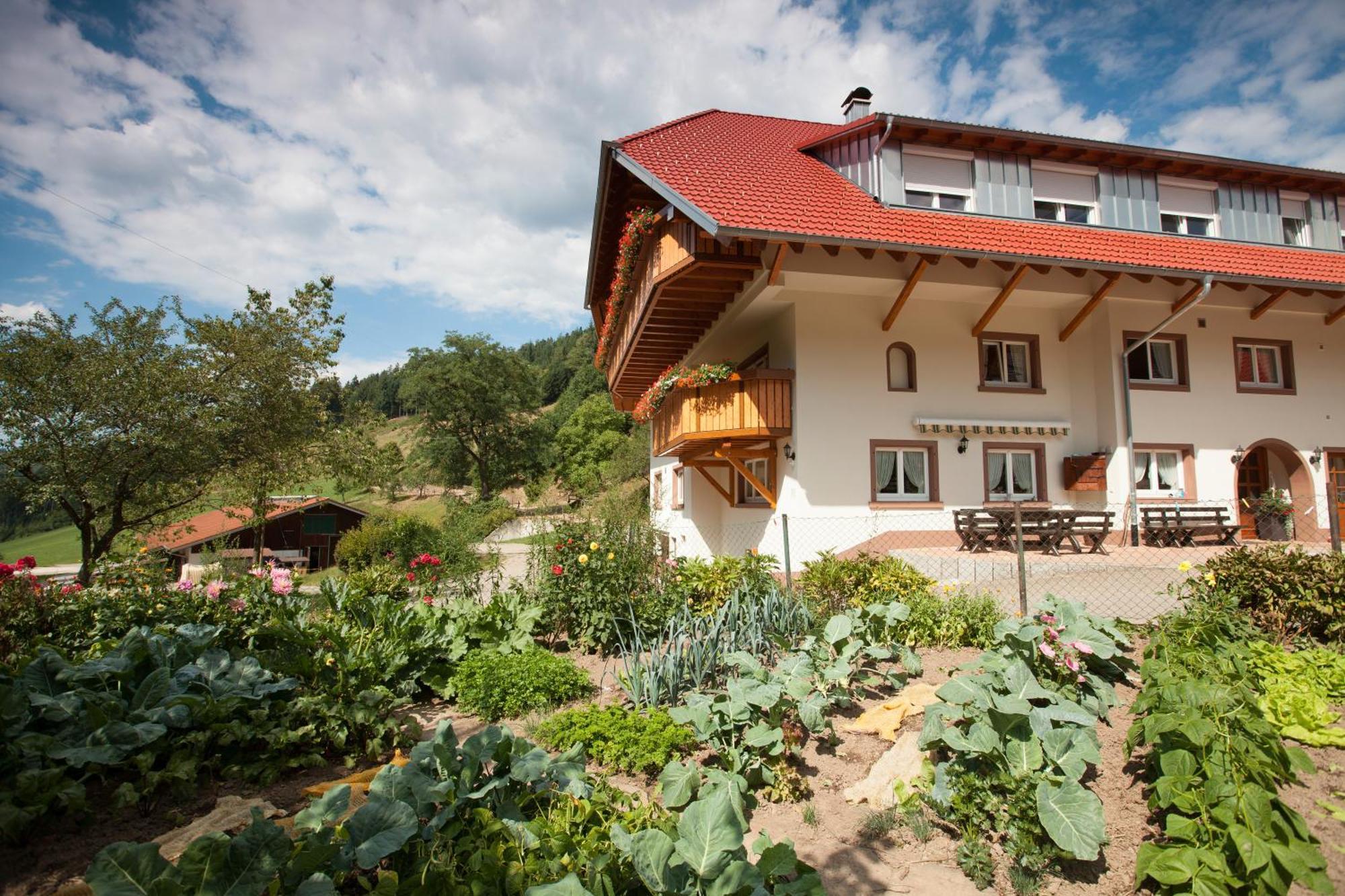 Schaetzlehof Hotell Winden im Elztal Exteriör bild
