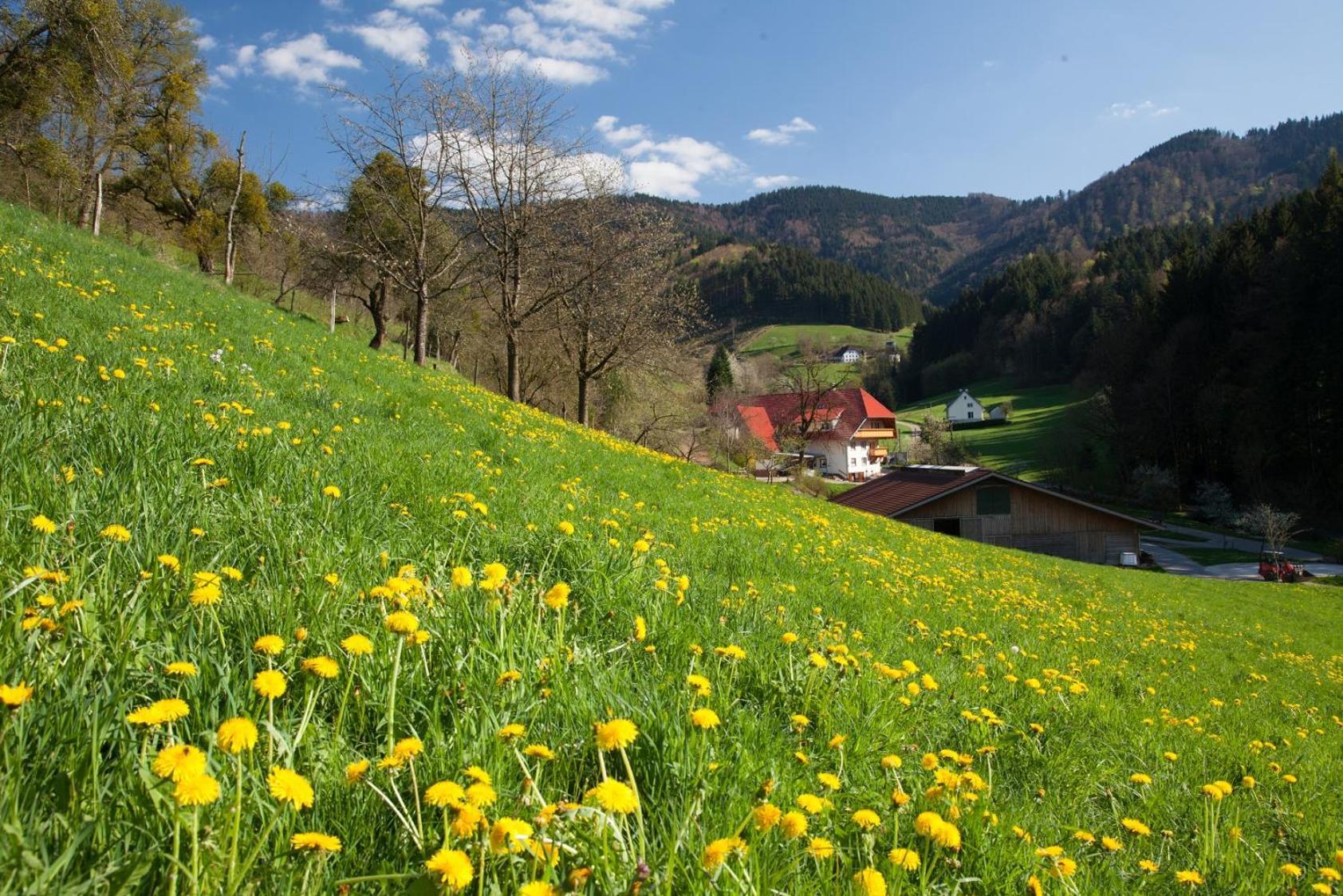 Schaetzlehof Hotell Winden im Elztal Exteriör bild