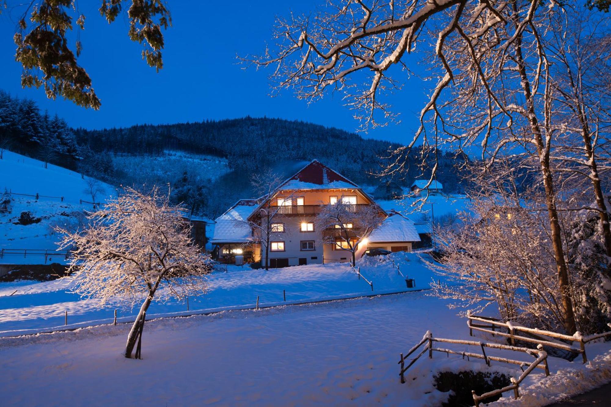 Schaetzlehof Hotell Winden im Elztal Exteriör bild