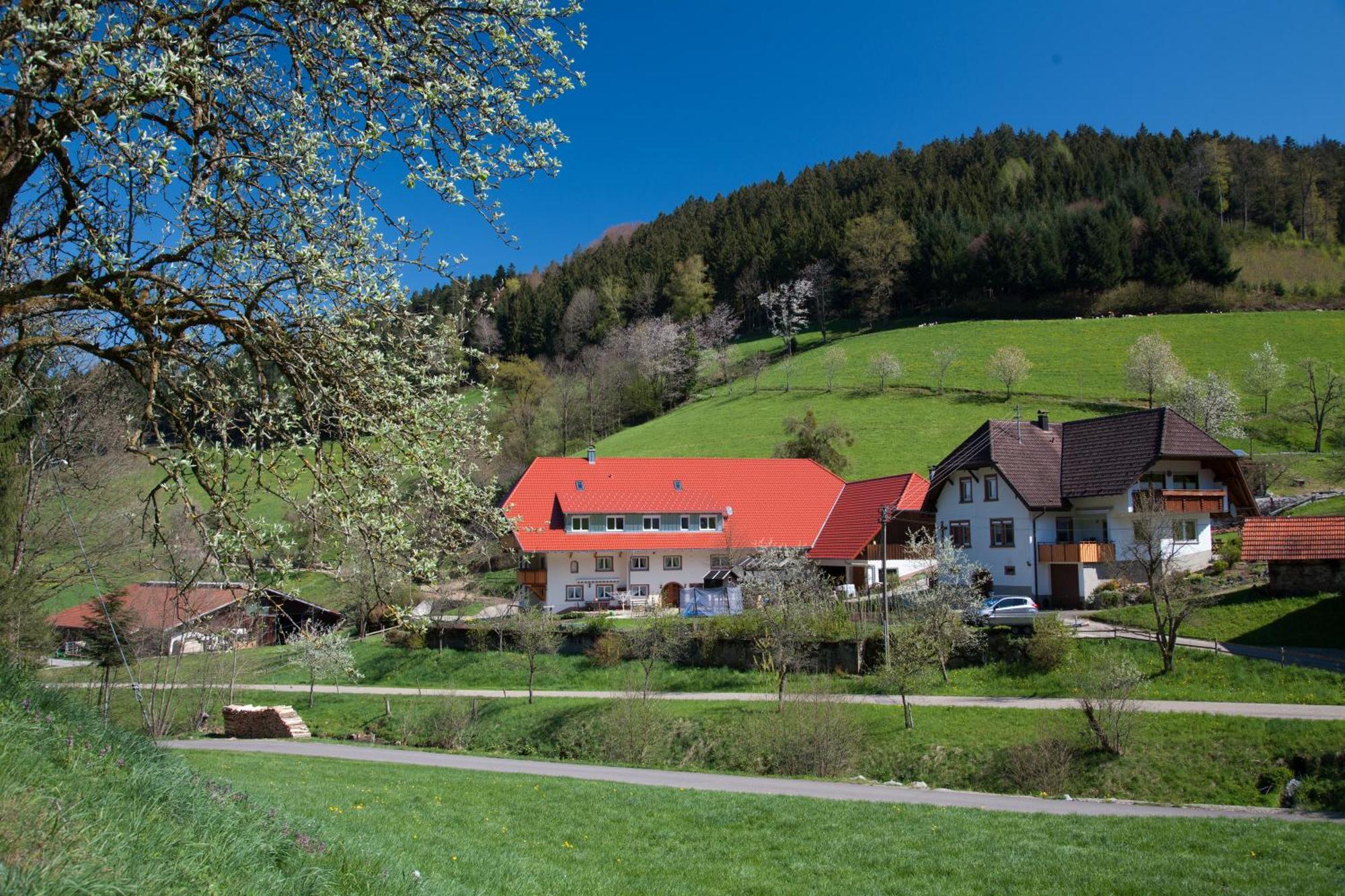 Schaetzlehof Hotell Winden im Elztal Exteriör bild